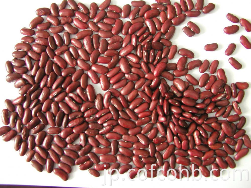 Dark Red Kidney Bean